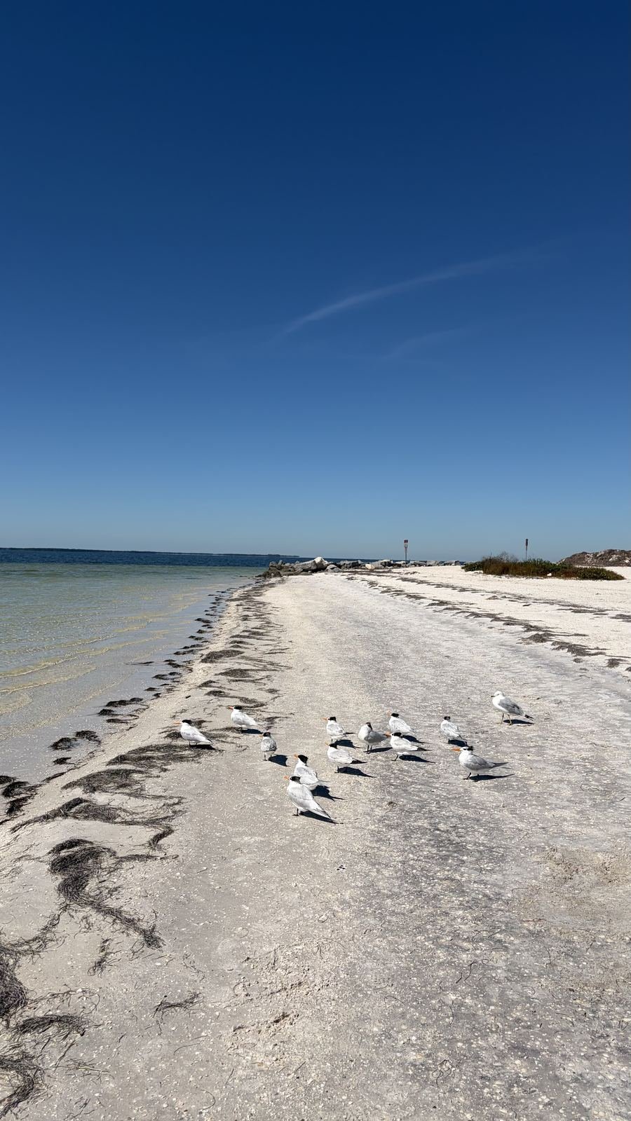 Clearwater